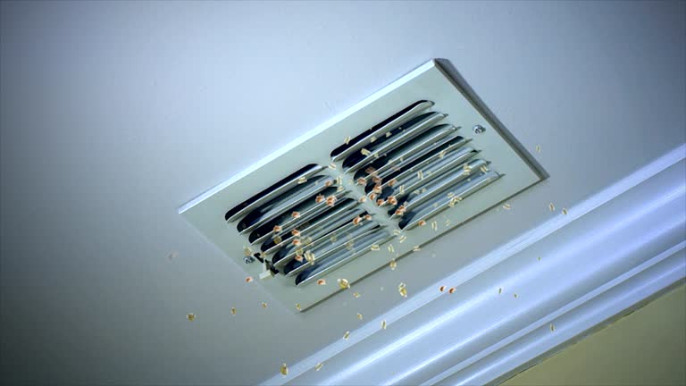 Affordable HVAC Duct Cleaning in SD